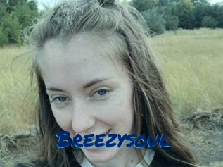 Breezysoul