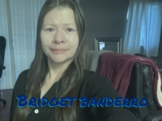 Bridget_banderro