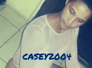 CASEY2004