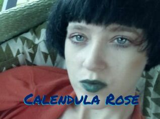 Calendula_Rose