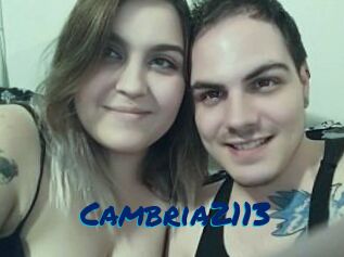 Cambria2113