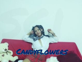 Candyflowers