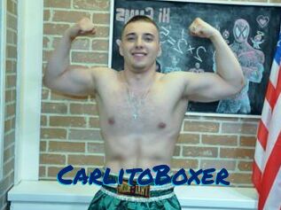 CarlitoBoxer