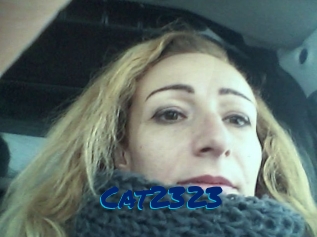 Cat2323