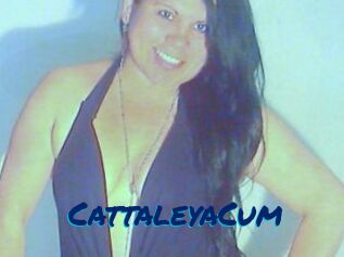 CattaleyaCum