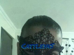 Cattleya_S