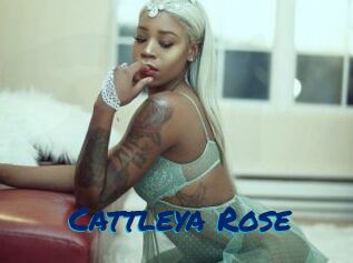 Cattleya_Rose