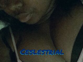 Ceslestrial