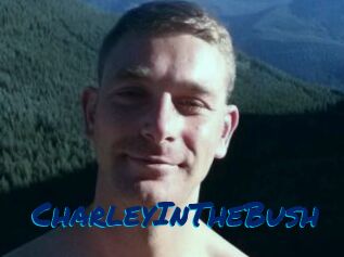 CharleyInTheBush Sexe City