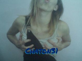 Chaton31