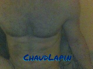 ChaudLapin