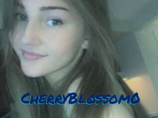CherryBlossom0