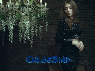 ChloeBird