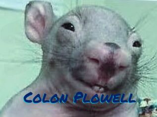 Colon_Plowell