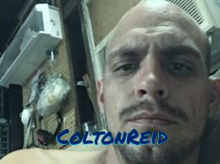 Colton_Reid