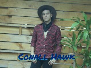 Conall_Hawk
