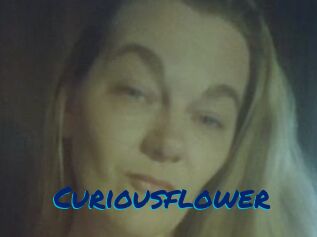 Curiousflower