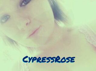 Cypress_Rose