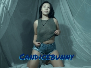 Candicebunny