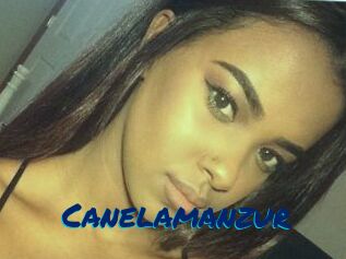 Canelamanzur