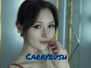 Carrybush