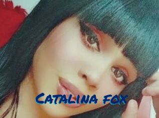 Catalina_fox