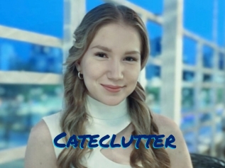 Cateclutter