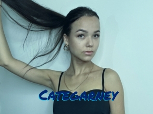 Categarney