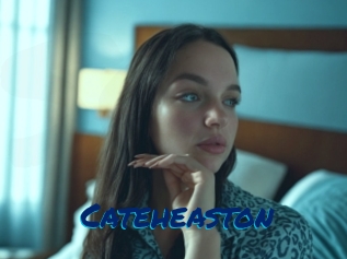 Cateheaston