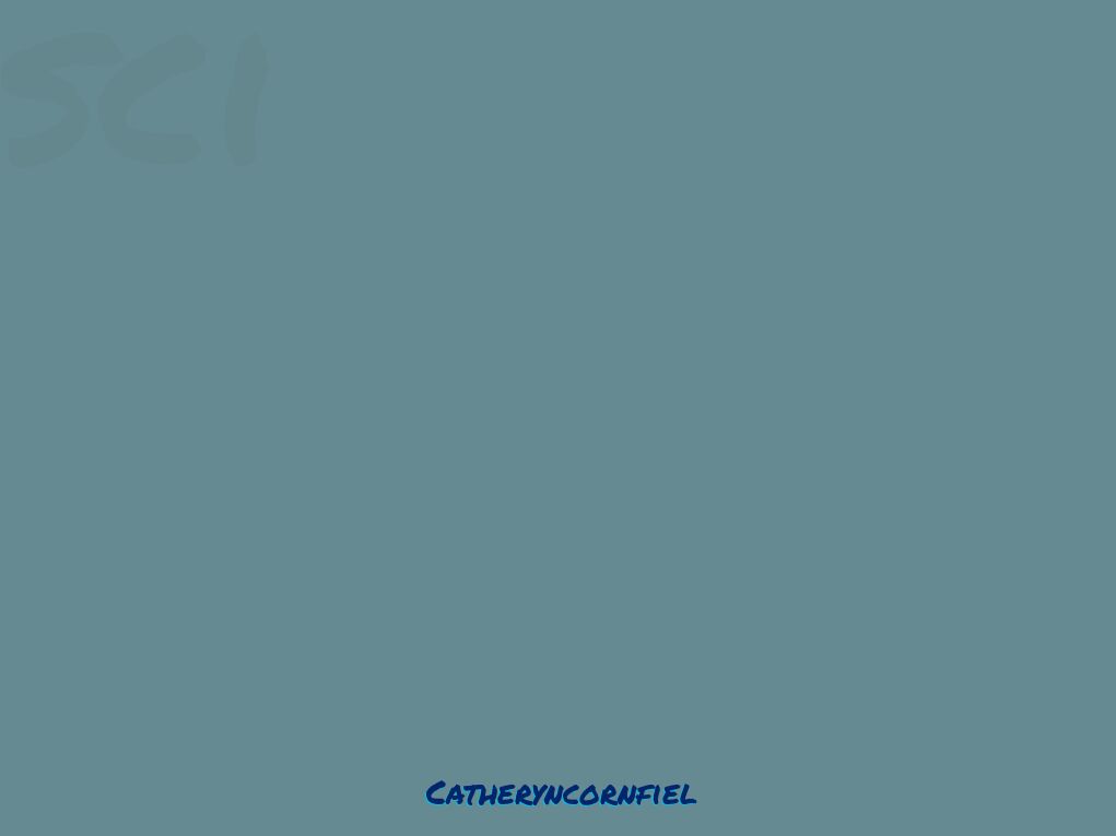 Catheryncornfiel