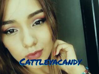 cattleyacandy Sexe City