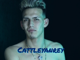 cattleyanrey Sexe City