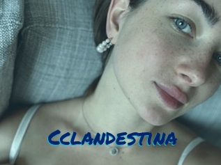 Cclandestina