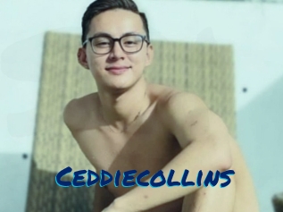 Ceddiecollins