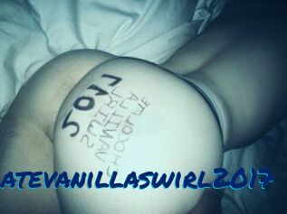 Chocolatevanillaswirl2017