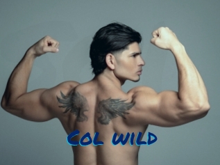 col_wild Sexe City
