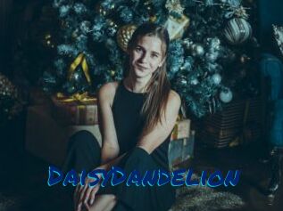 DaisyDandelion