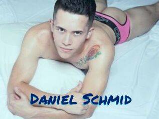 Daniel_Schmid