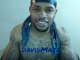 David_Maze