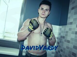 DavidVardy