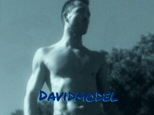 Davidmodel