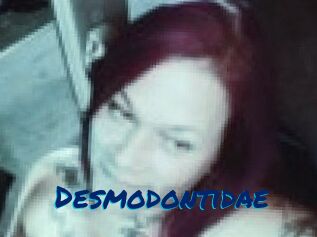 Desmodontidae
