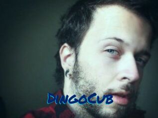 DingoCub