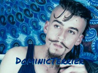 DominicTerrier