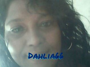 Dahlia66