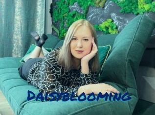 Daisyblooming