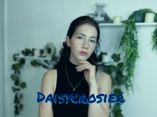 Daisycrosier