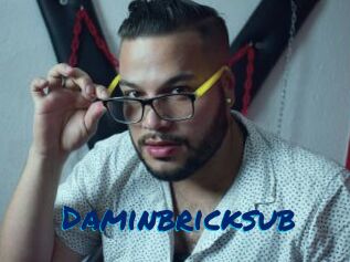 Daminbricksub