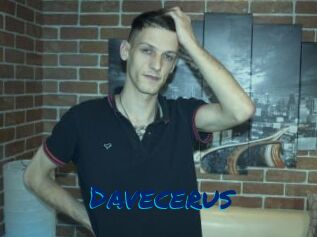 Davecerus