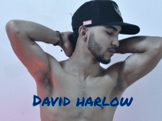 david_harlow Sexe City
